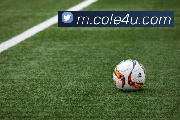 奖项证书